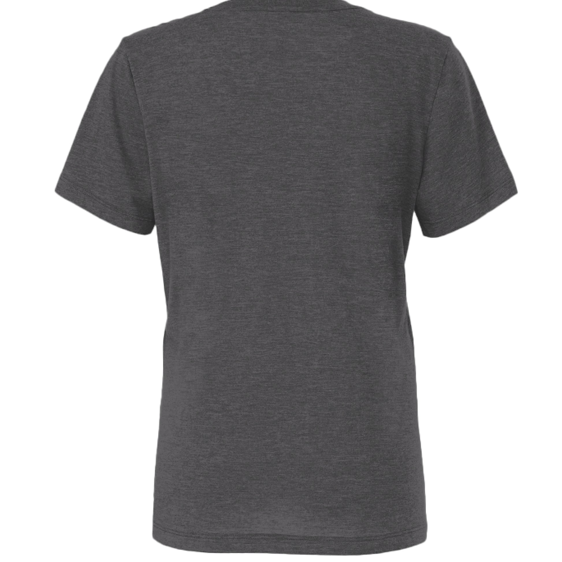 Solid Dark Grey Triblend - BACK